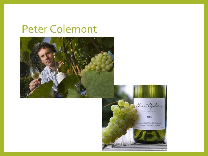 Peter Colemont 