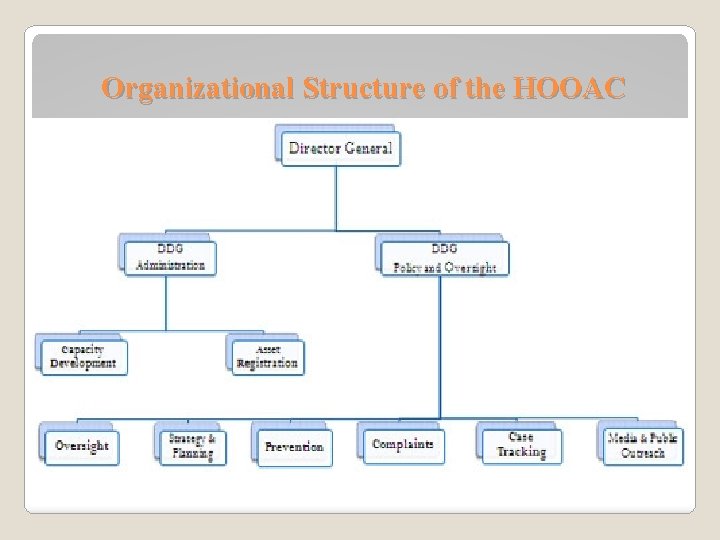 Organizational Structure of the HOOAC 