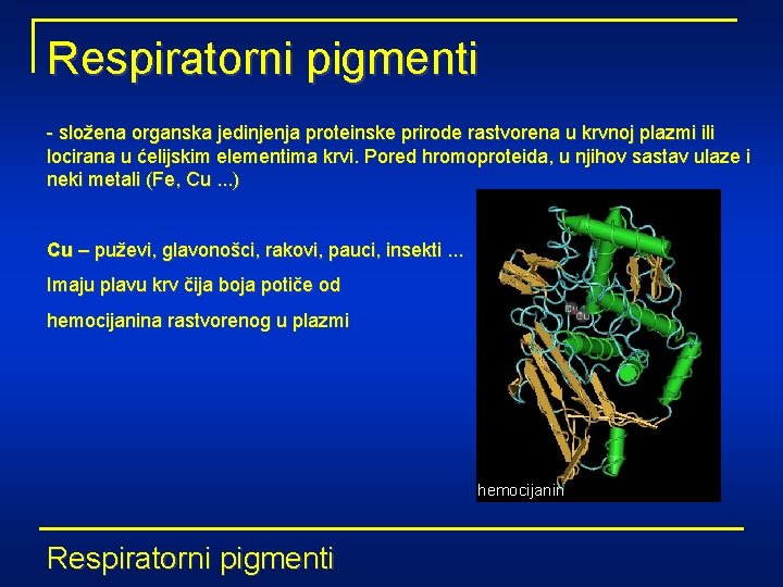 Respiratorni pigmenti - složena organska jedinjenja proteinske prirode rastvorena u krvnoj plazmi ili locirana