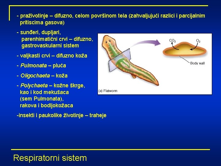 - praživotinje – difuzno‚ celom površinom tela (zahvaljujući razlici i parcijalnim pritiscima gasova) -