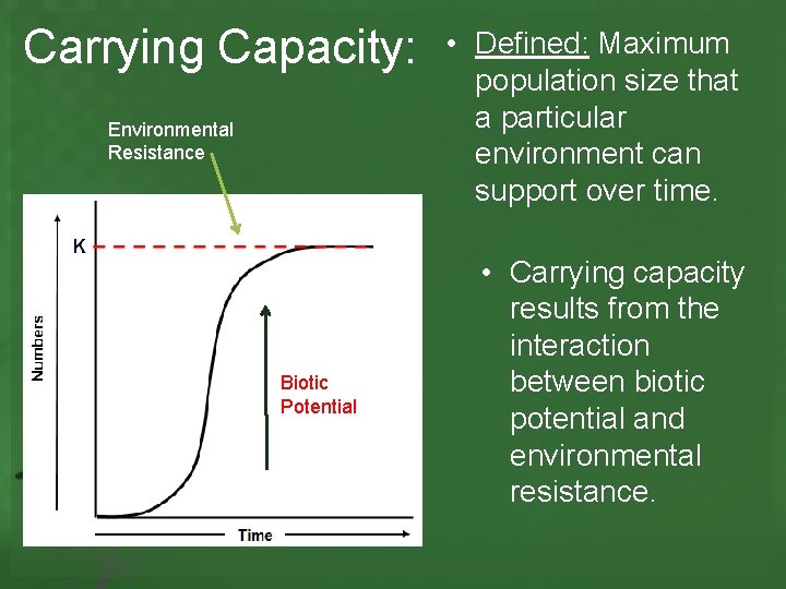 Carrying Capacity: Environmental Resistance Biotic Potential • Defined: Maximum population size that a particular