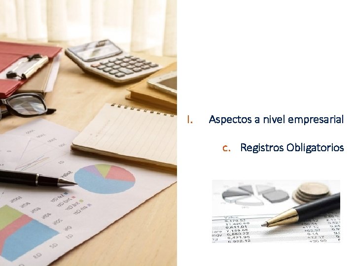 I. Aspectos a nivel empresarial c. Registros Obligatorios 