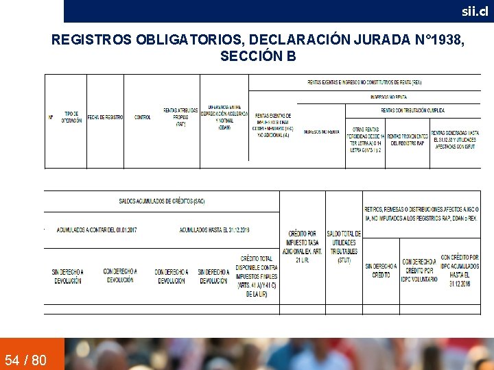 sii. cl REGISTROS OBLIGATORIOS, DECLARACIÓN JURADA N° 1938, SECCIÓN B 54 / 80 