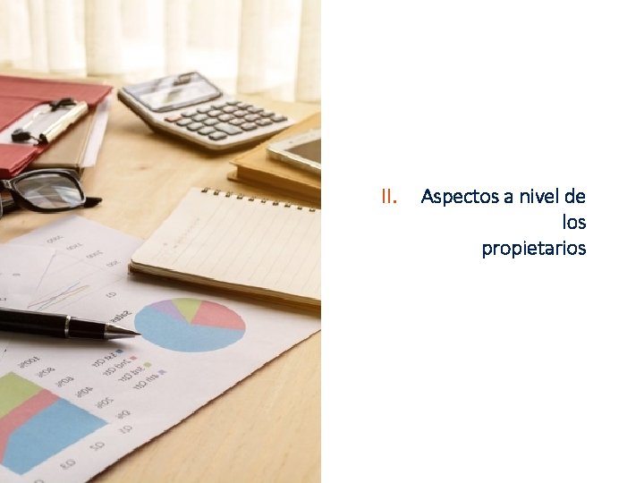 II. Aspectos a nivel de los propietarios 