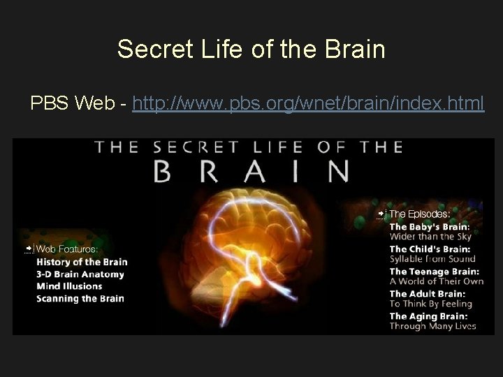 Secret Life of the Brain PBS Web - http: //www. pbs. org/wnet/brain/index. html 