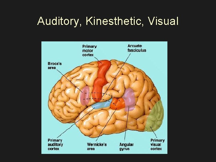 Auditory, Kinesthetic, Visual 