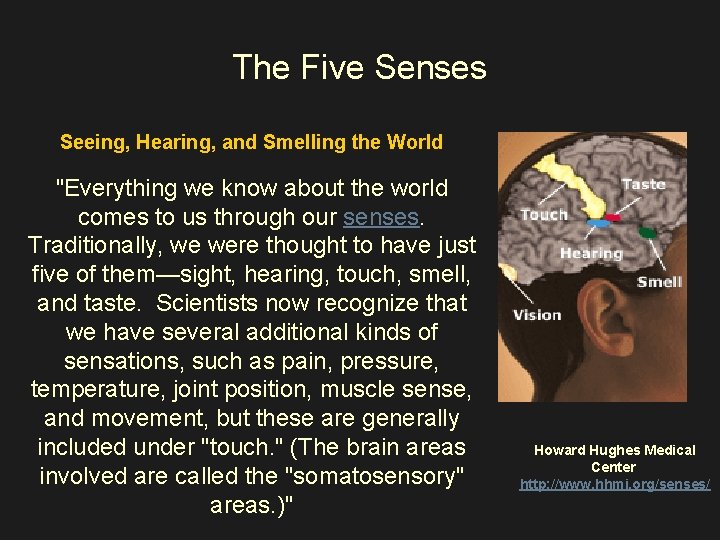 The Five Senses Seeing, Hearing, and Smelling the World "Everything we know about the