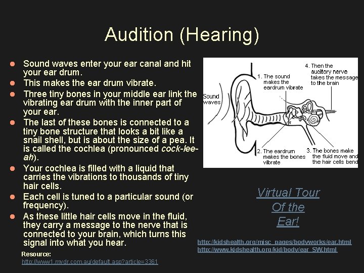 Audition (Hearing) l l l l Sound waves enter your ear canal and hit