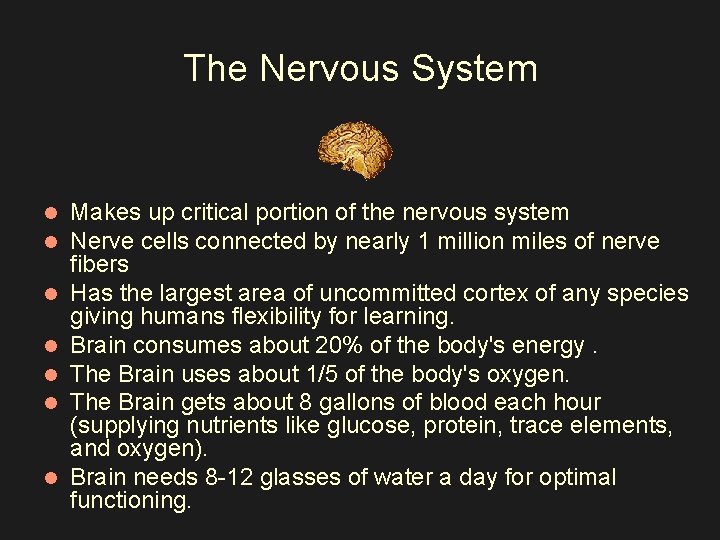 The Nervous System l l l l Makes up critical portion of the nervous