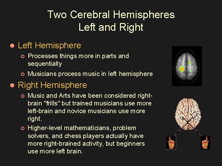 Two Cerebral Hemispheres Left and Right l l Left Hemisphere ¡ Processes things more