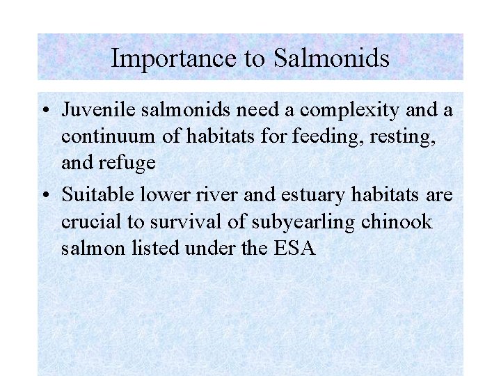 Importance to Salmonids • Juvenile salmonids need a complexity and a continuum of habitats