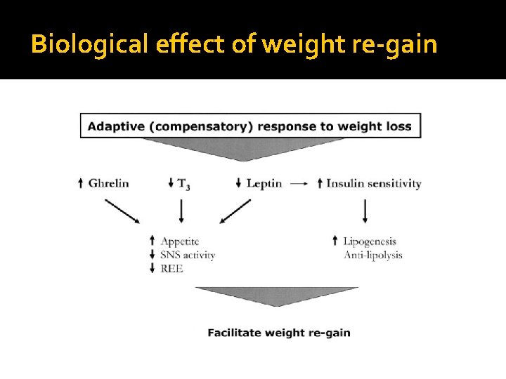 Biological effect of weight re-gain 