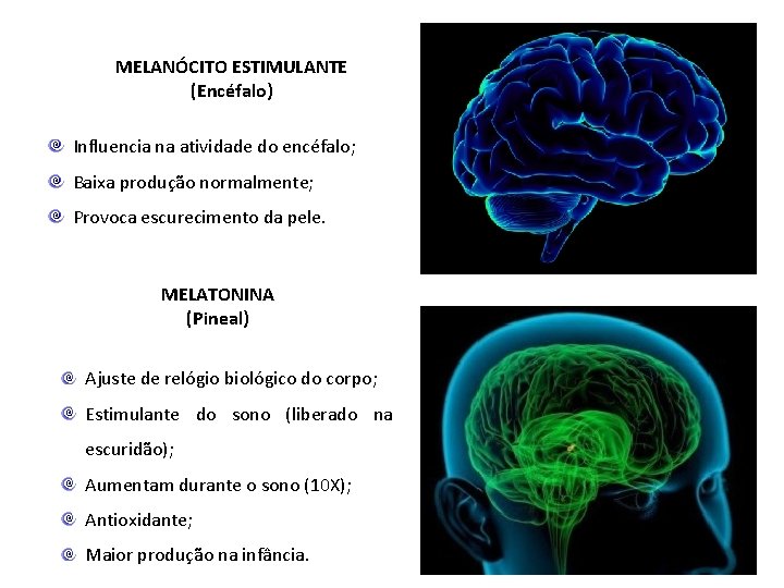 MELANÓCITO ESTIMULANTE (Encéfalo) Influencia na atividade do encéfalo; Baixa produção normalmente; Provoca escurecimento da