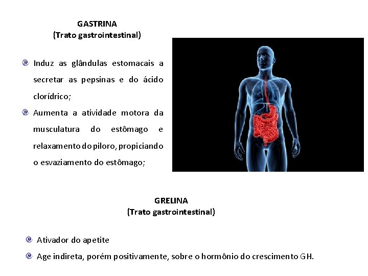 GASTRINA (Trato gastrointestinal) Induz as glândulas estomacais a secretar as pepsinas e do ácido