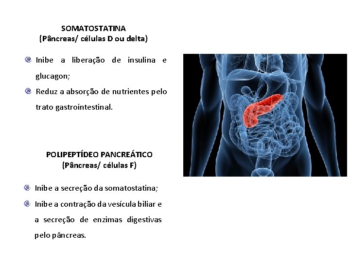 SOMATOSTATINA (Pâncreas/ células D ou delta) Inibe a liberação de insulina e glucagon; Reduz