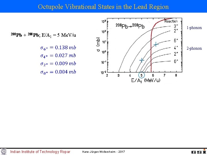Octupole Vibrational States in the Lead Region 1 -phonon 208 Pb + 208 Pb;