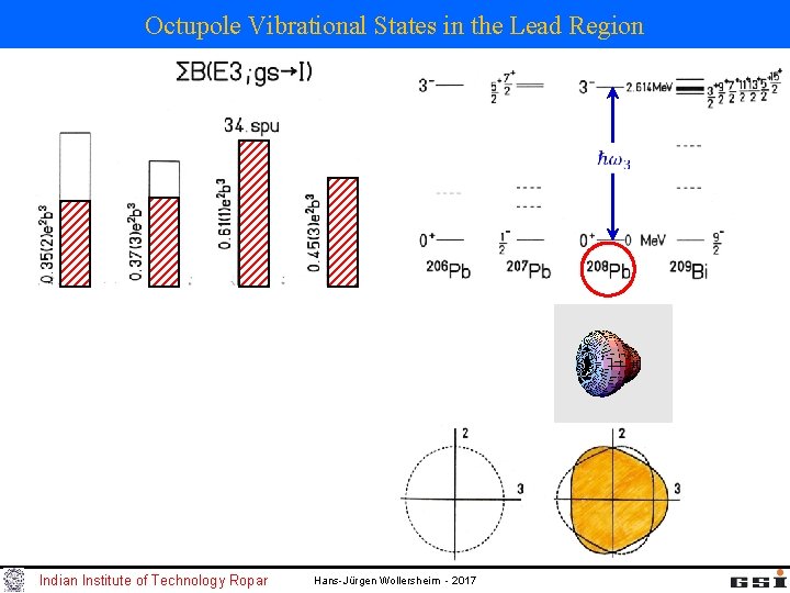 Octupole Vibrational States in the Lead Region Indian Institute of Technology Ropar Hans-Jürgen Wollersheim