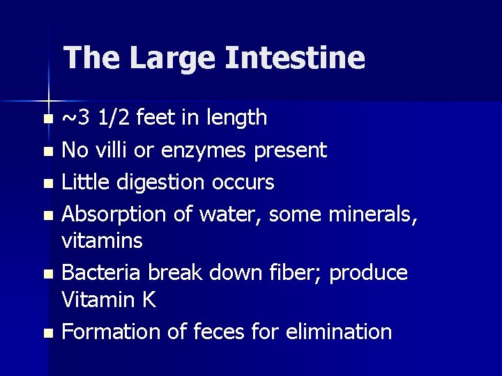 The Large Intestine ~3 1/2 feet in length n No villi or enzymes present