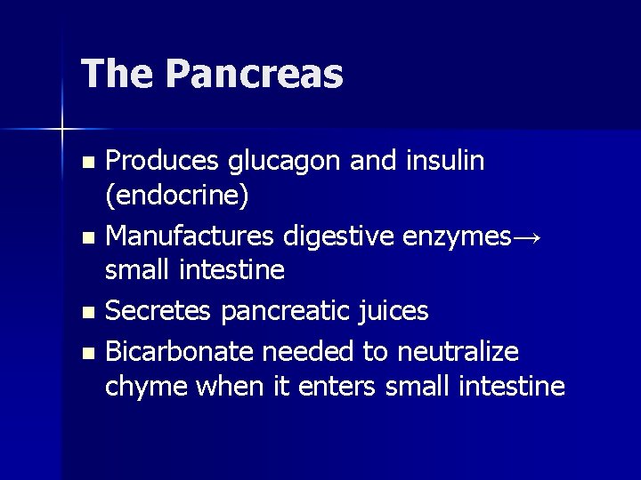 The Pancreas Produces glucagon and insulin (endocrine) n Manufactures digestive enzymes→ small intestine n