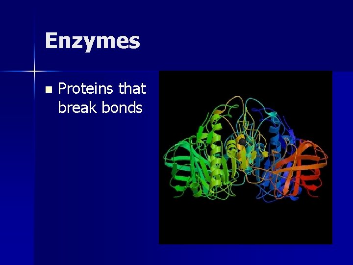 Enzymes n Proteins that break bonds 