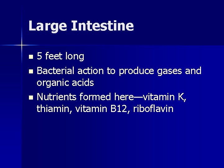 Large Intestine 5 feet long n Bacterial action to produce gases and organic acids