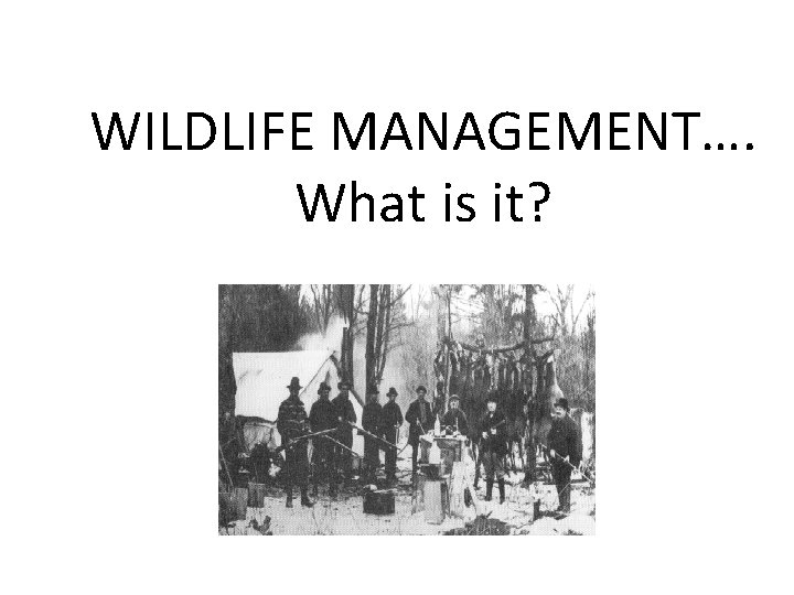 WILDLIFE MANAGEMENT…. What is it? 
