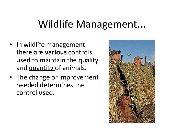 Wildlife Management. . . • In wildlife management there are various controls used to