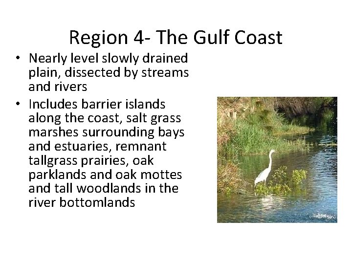 Region 4 - The Gulf Coast • Nearly level slowly drained plain, dissected by