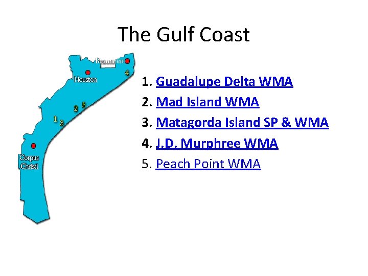 The Gulf Coast 1. Guadalupe Delta WMA 2. Mad Island WMA 3. Matagorda Island