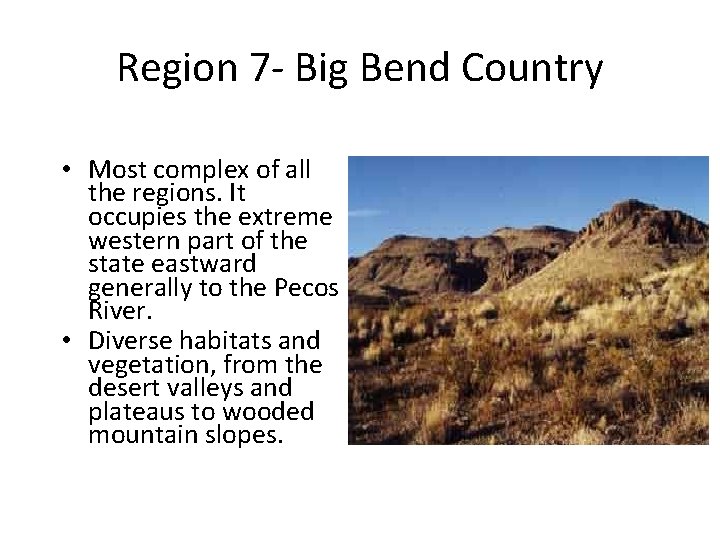 Region 7 - Big Bend Country • Most complex of all the regions. It