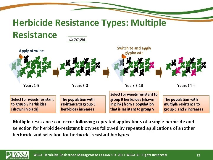 Herbicide Resistance Types: Multiple Resistance Example Switch to and apply glyphosate Apply atrazine Years