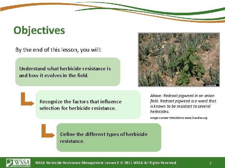 Objectives By the end of this lesson, you will: Understand what herbicide resistance is