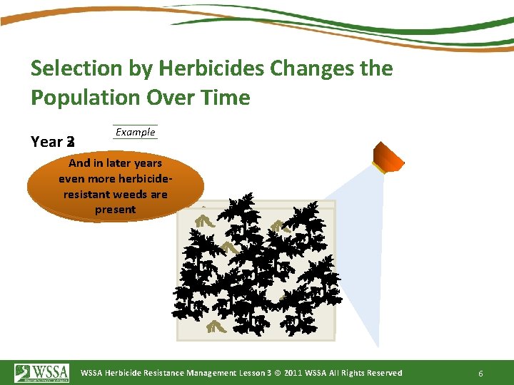 Selection by Herbicides Changes the Population Over Time Year 3 2 Example And in