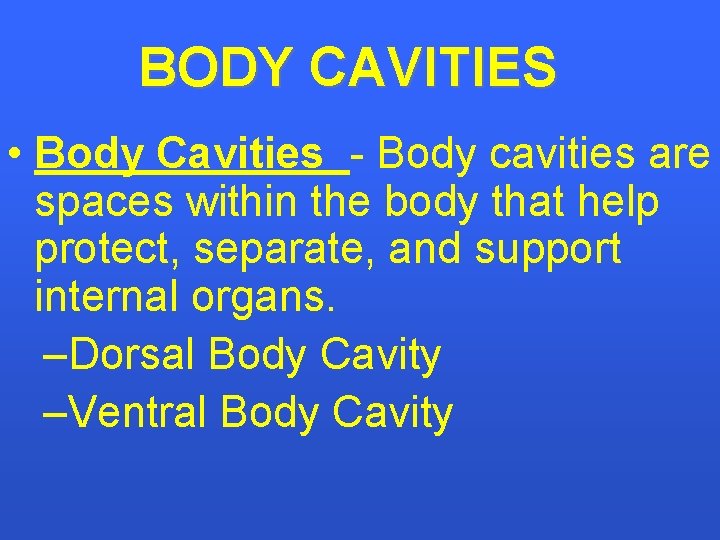 BODY CAVITIES • Body Cavities - Body cavities are spaces within the body that