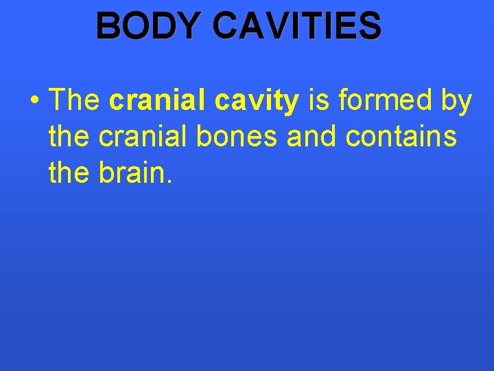 BODY CAVITIES • The cranial cavity is formed by the cranial bones and contains