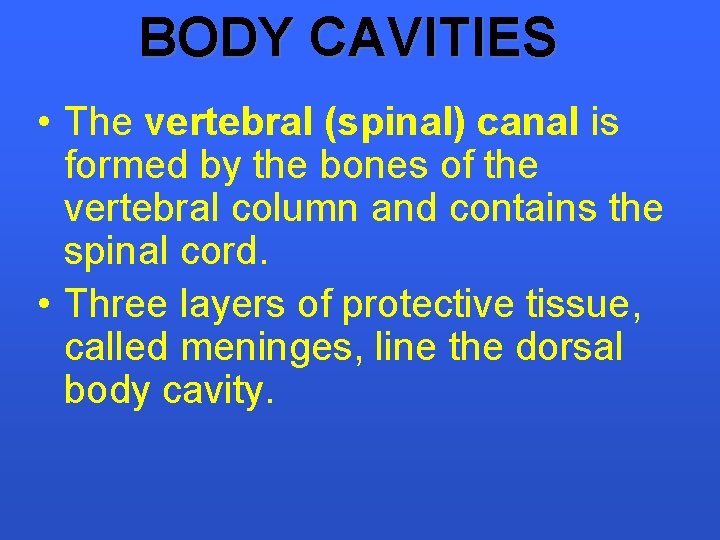 BODY CAVITIES • The vertebral (spinal) canal is formed by the bones of the