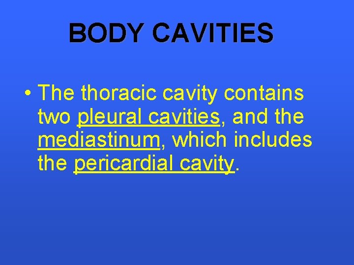 BODY CAVITIES • The thoracic cavity contains two pleural cavities, and the mediastinum, which