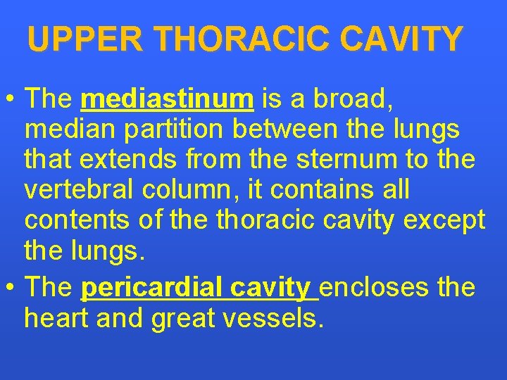 UPPER THORACIC CAVITY • The mediastinum is a broad, median partition between the lungs