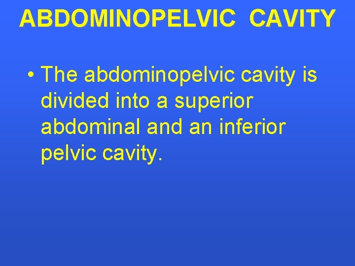 ABDOMINOPELVIC CAVITY • The abdominopelvic cavity is divided into a superior abdominal and an