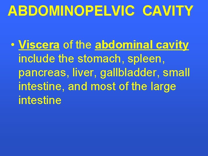 ABDOMINOPELVIC CAVITY • Viscera of the abdominal cavity include the stomach, spleen, pancreas, liver,