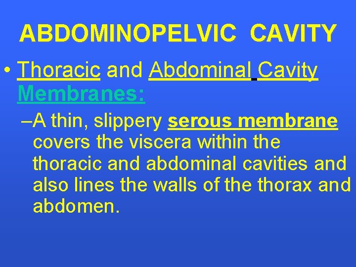 ABDOMINOPELVIC CAVITY • Thoracic and Abdominal Cavity Membranes: –A thin, slippery serous membrane covers