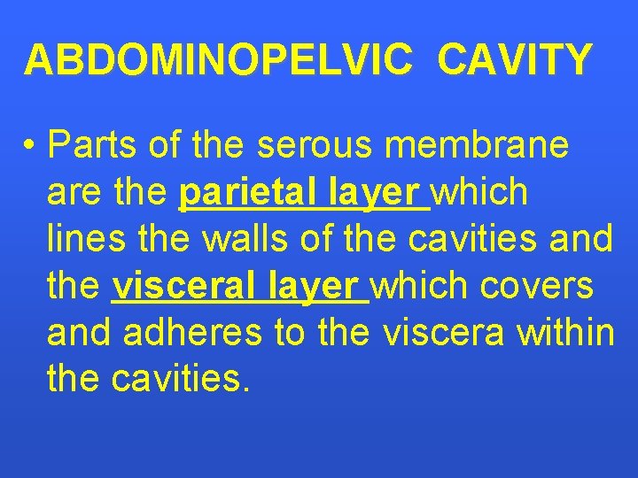 ABDOMINOPELVIC CAVITY • Parts of the serous membrane are the parietal layer which lines