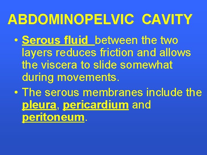 ABDOMINOPELVIC CAVITY • Serous fluid between the two layers reduces friction and allows the