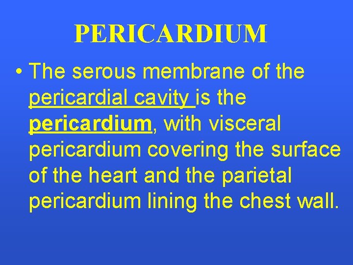 PERICARDIUM • The serous membrane of the pericardial cavity is the pericardium, with visceral