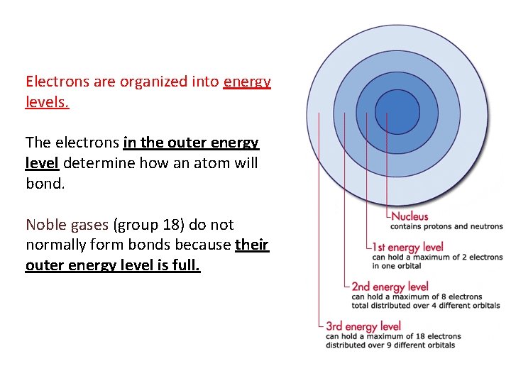 Electrons are organized into energy levels. The electrons in the outer energy level determine