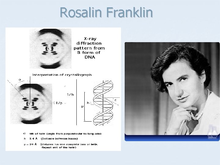 Rosalin Franklin 