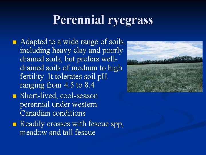 Perennial ryegrass n n n Adapted to a wide range of soils, including heavy Perennial ryegrass n n n Adapted to a wide range of soils, including heavy