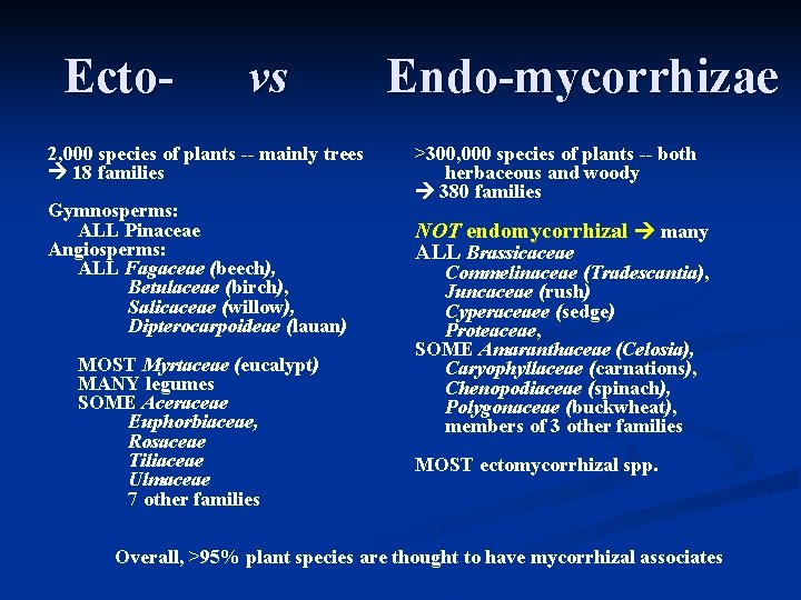 Ecto- vs Endo-mycorrhizae 2, 000 species of plants -- mainly trees 18 families Gymnosperms: Ecto- vs Endo-mycorrhizae 2, 000 species of plants -- mainly trees 18 families Gymnosperms: