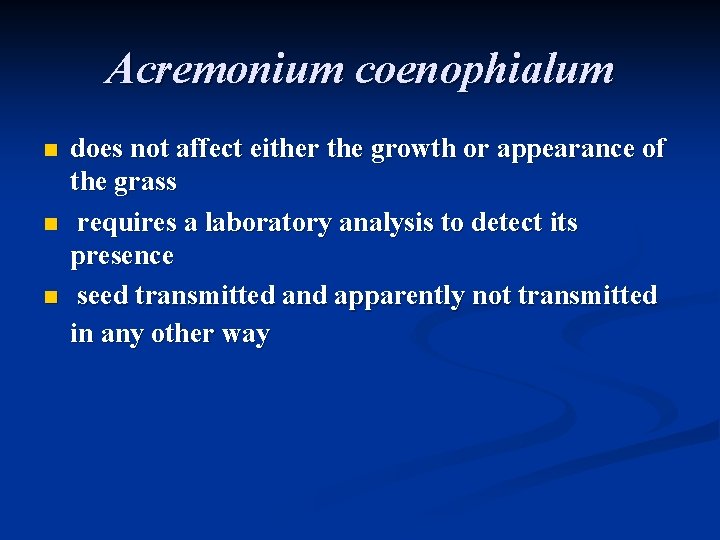Acremonium coenophialum n n n does not affect either the growth or appearance of Acremonium coenophialum n n n does not affect either the growth or appearance of