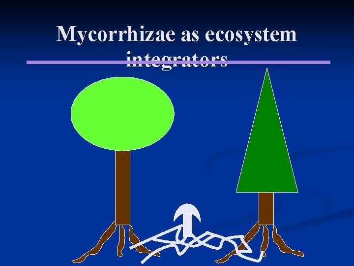 Mycorrhizae as ecosystem integrators Mycorrhizae as ecosystem integrators